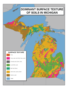 Dominant Surface Texture of Soils in Michigan